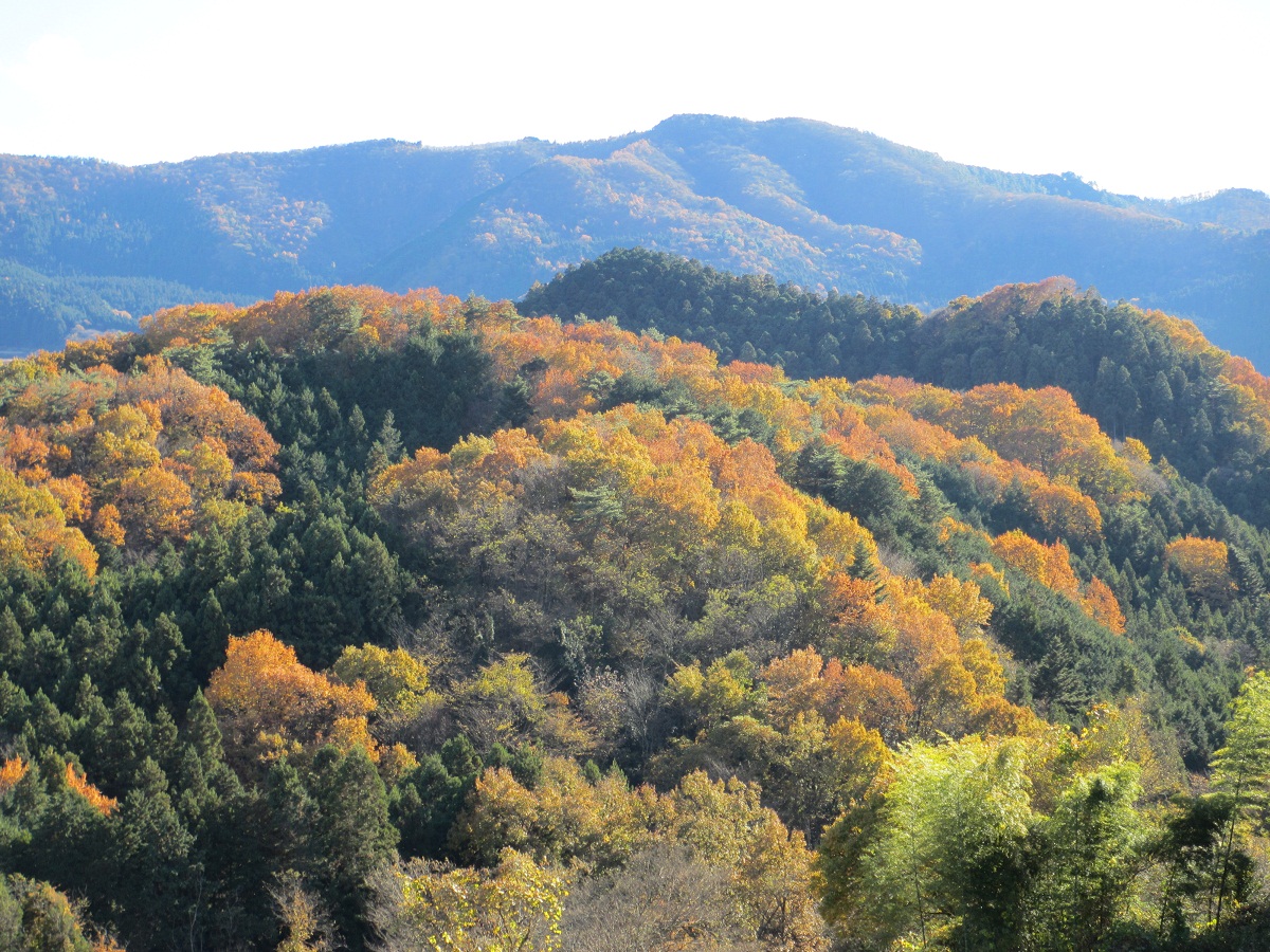 2012.11.27熊倉山