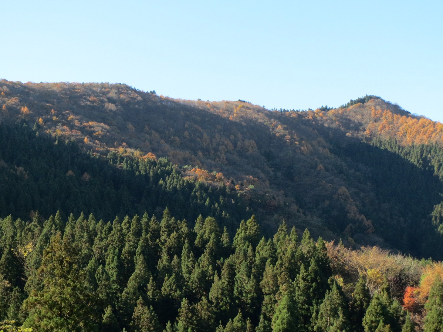 2013.11.22熊倉山