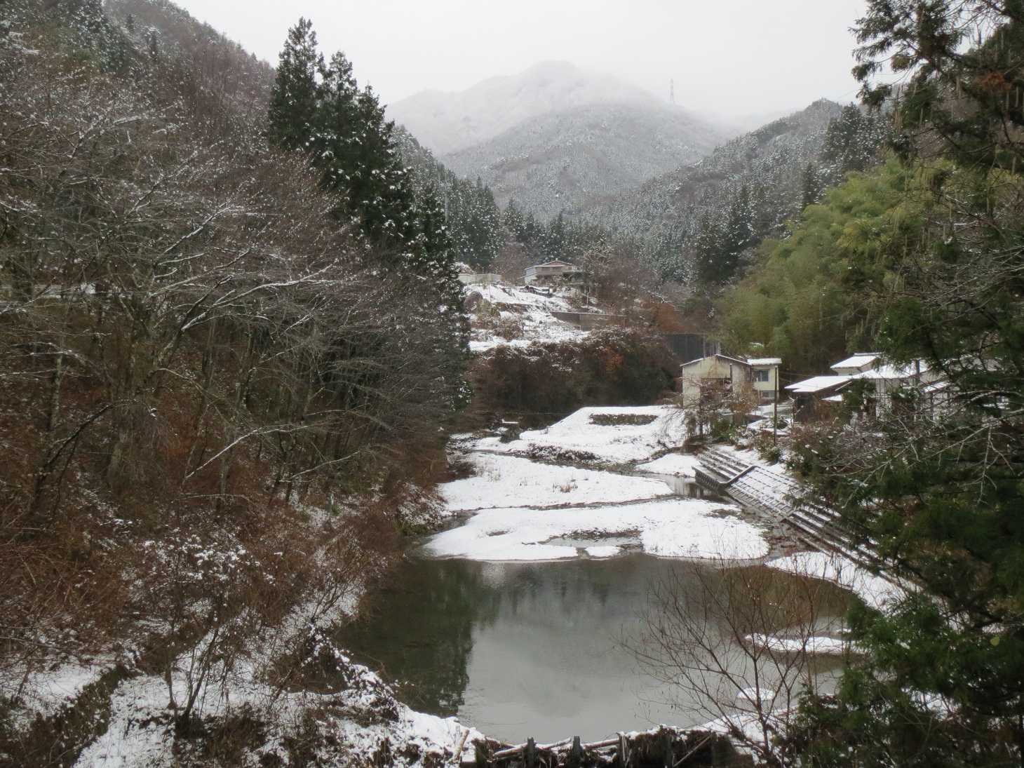 2013.12.19稲含山3