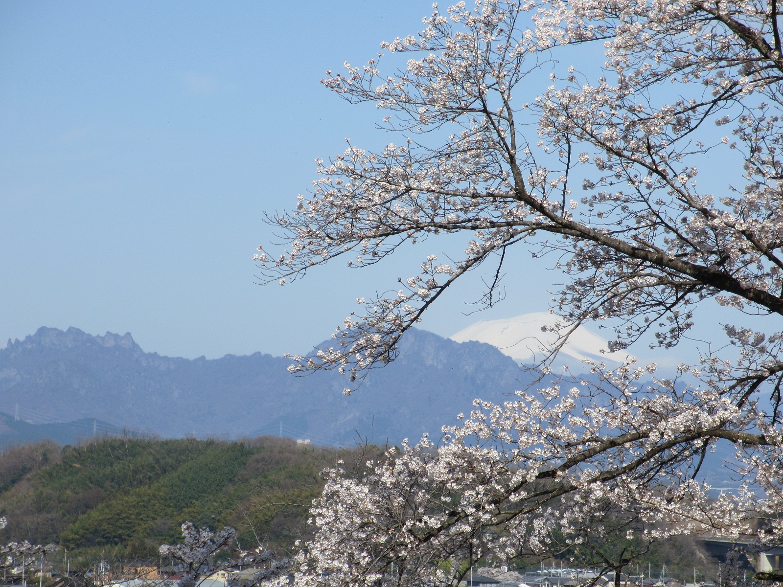 2013.4.4八幡山