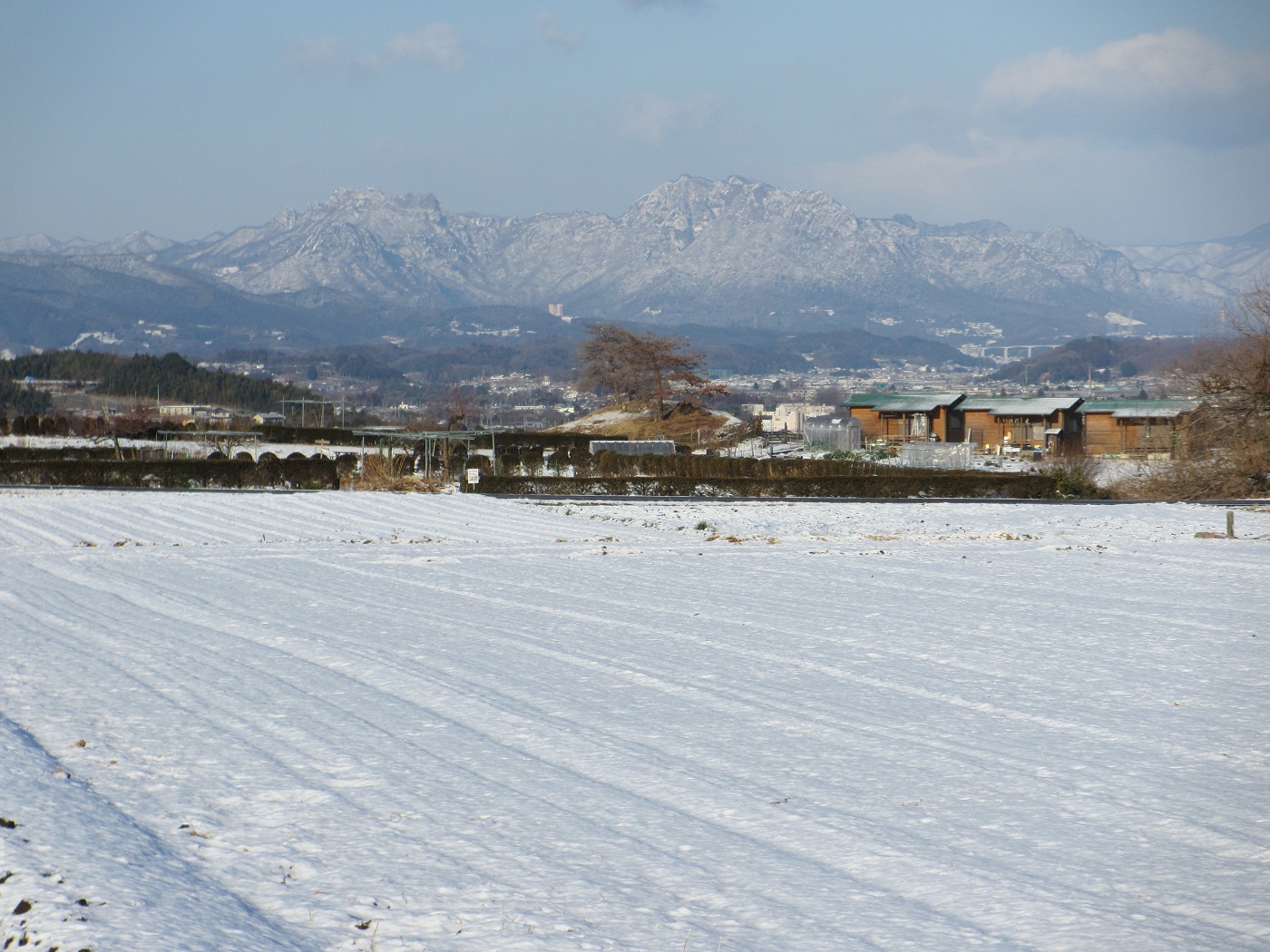 20130115農園と妙義山