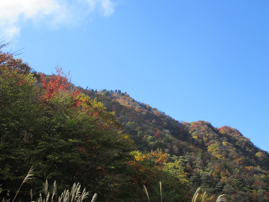 2014.10.24稲含山