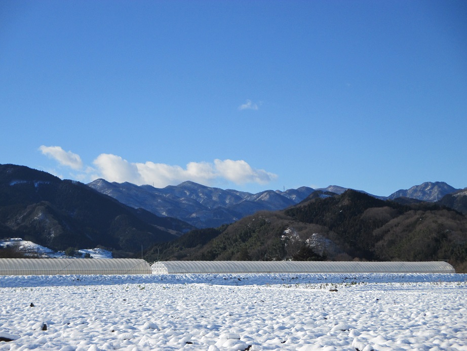 2016.1.19稲含山