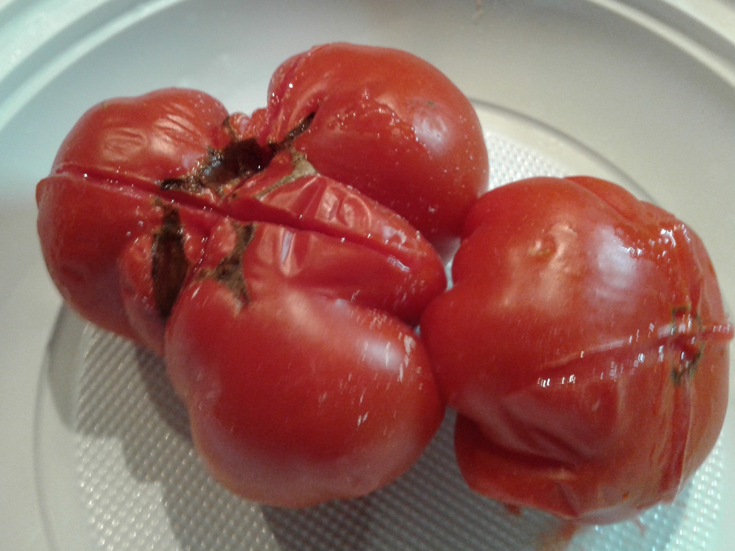 完熟のフィレンツェ産トマト