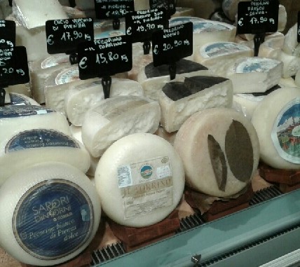 種類豊富な羊のチーズ