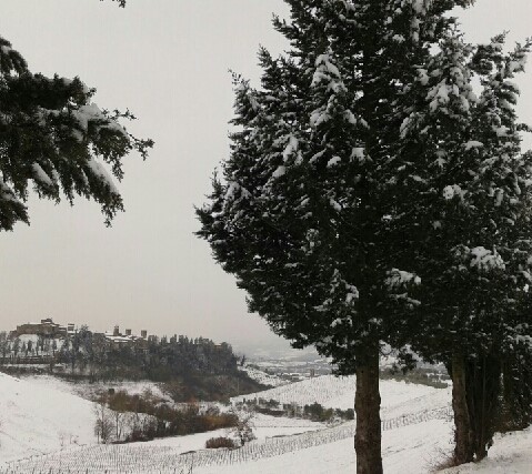 チェルタルドの雪景色